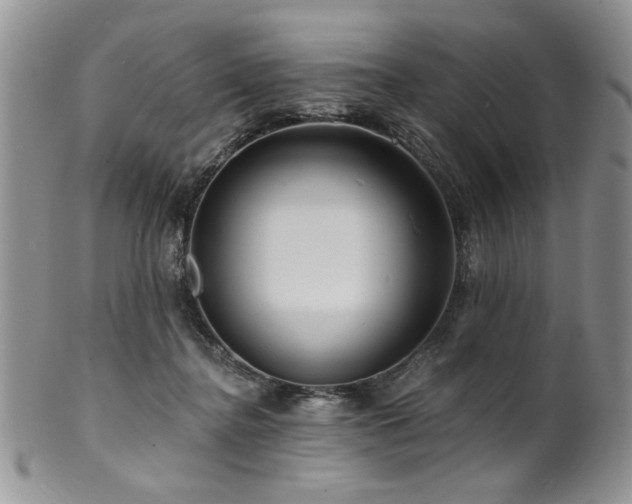 X0000100840364200806201156