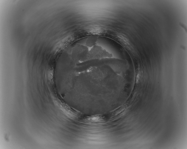 X0000100840365200806201156