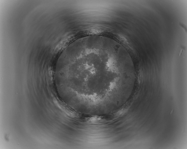 X0000100840366200806201156