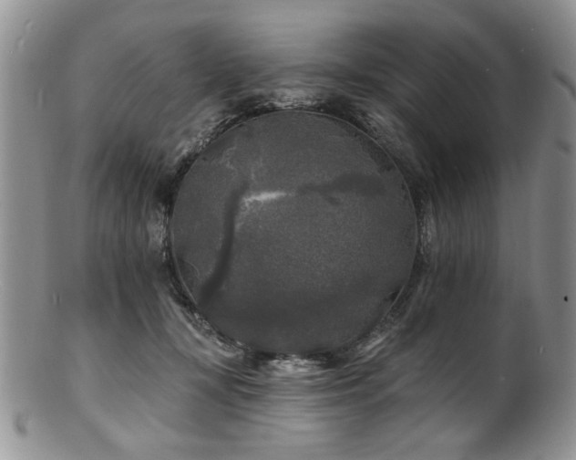 X0000100840367200806201156