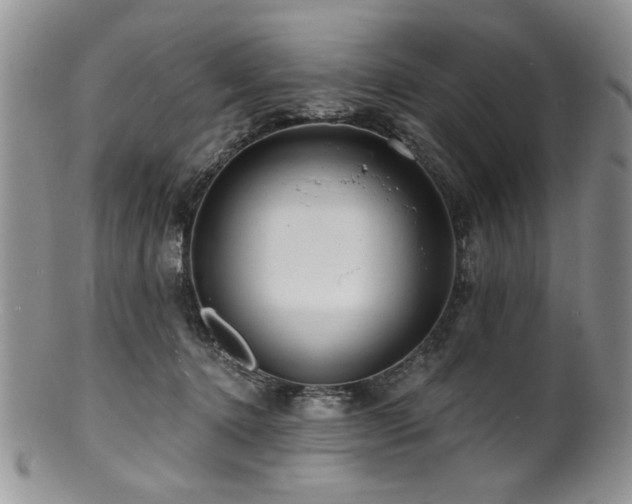 X0000100840368200806201156