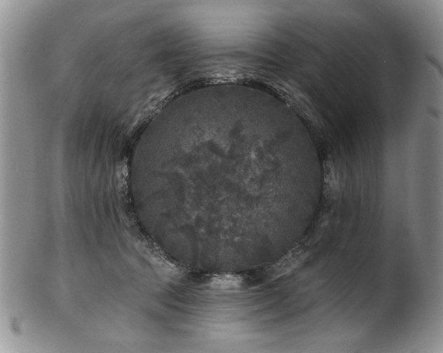 X0000100840369200806201156