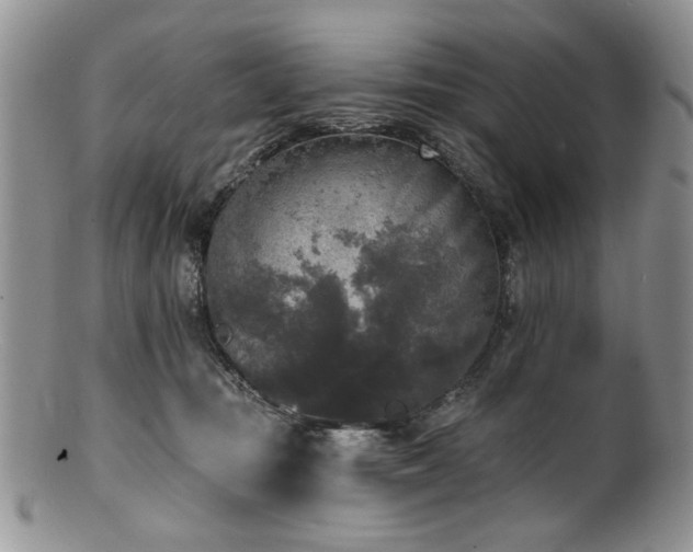 X0000100840371200806201156