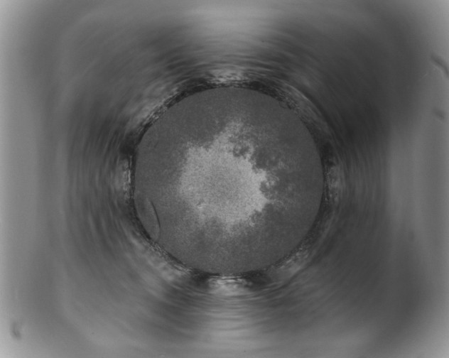 X0000100840372200806201156