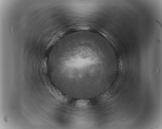 X0000100840373200806201156