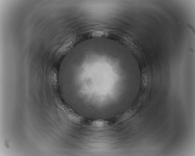 X0000100840375200806201156