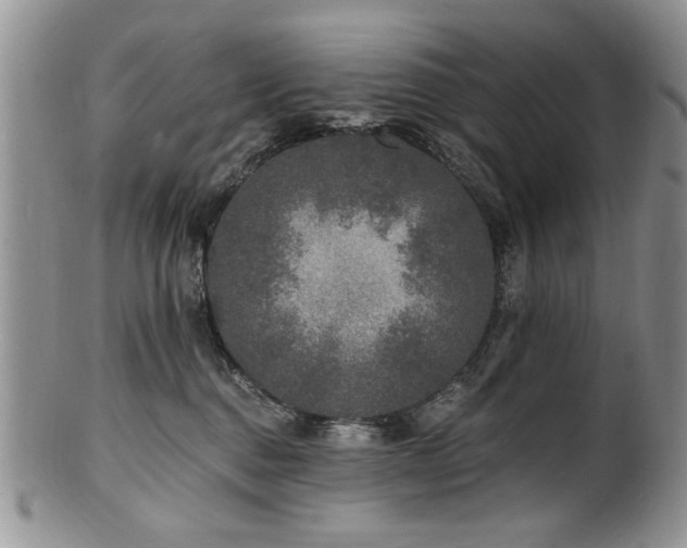 X0000100840376200806201156