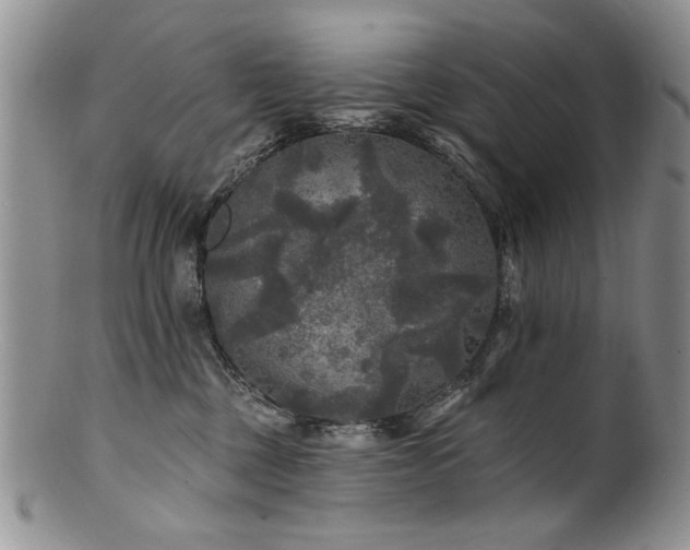 X0000100840377200806201156