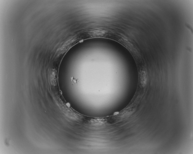 X0000100840378200806201156