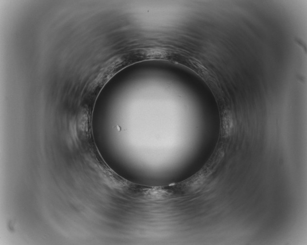 X0000100840379200806201156