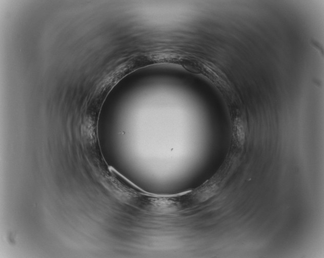 X0000100840380200806201156