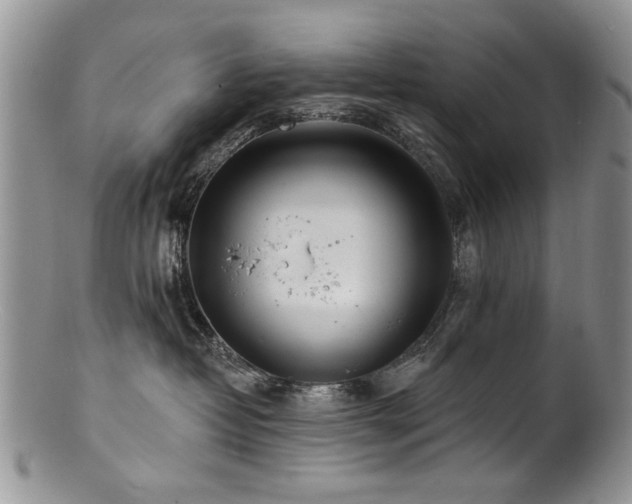 X0000100840382200806201156