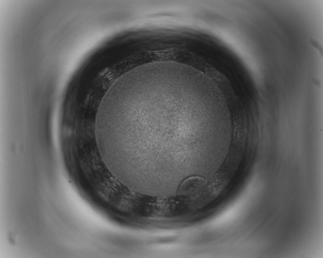 X0000100840383200806201156