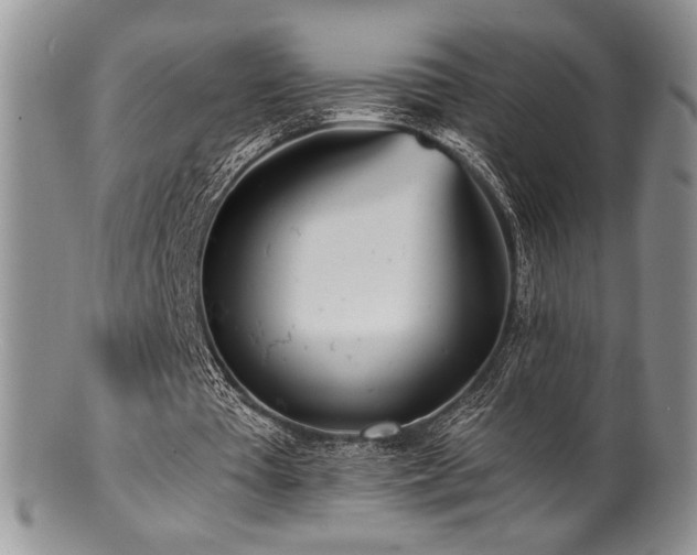 X0000100840385200806201156