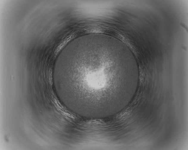 X0000100840386200806201156