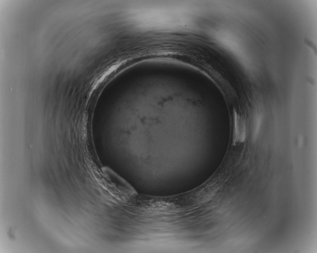 X0000100840387200806201156