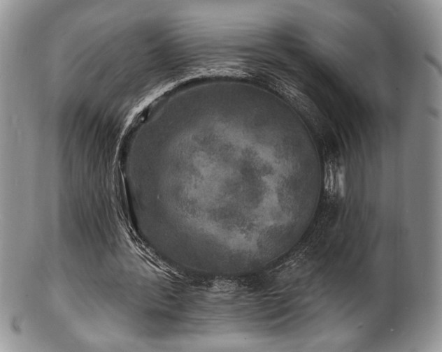 X0000100840388200806201156