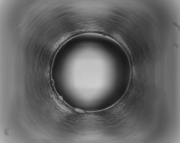 X0000100840389200806201156