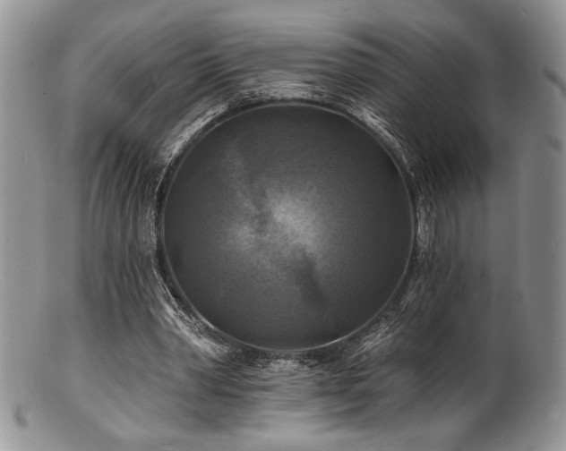 X0000100840390200806201156