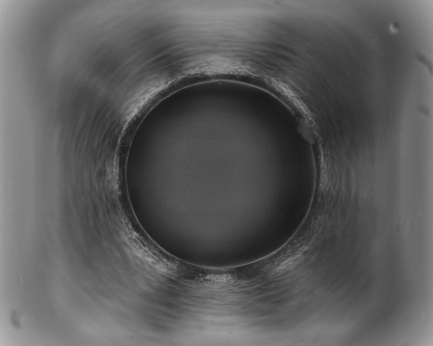 X0000100840391200806201156