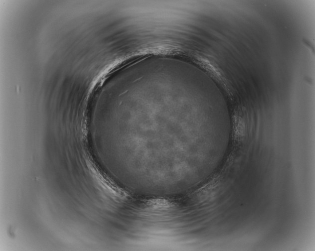 X0000100840392200806201156