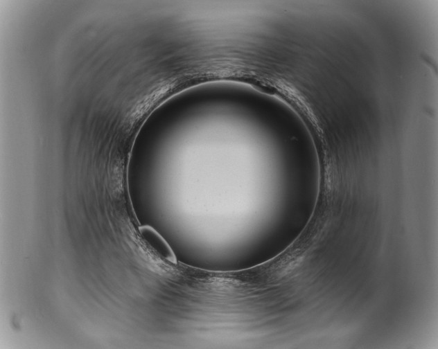 X0000100840393200806201156