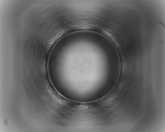 X0000100840394200806201156