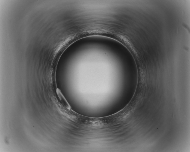 X0000100840395200806201156