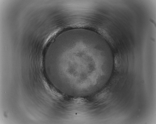 X0000100840396200806201156