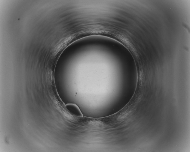 X0000100840397200806201156