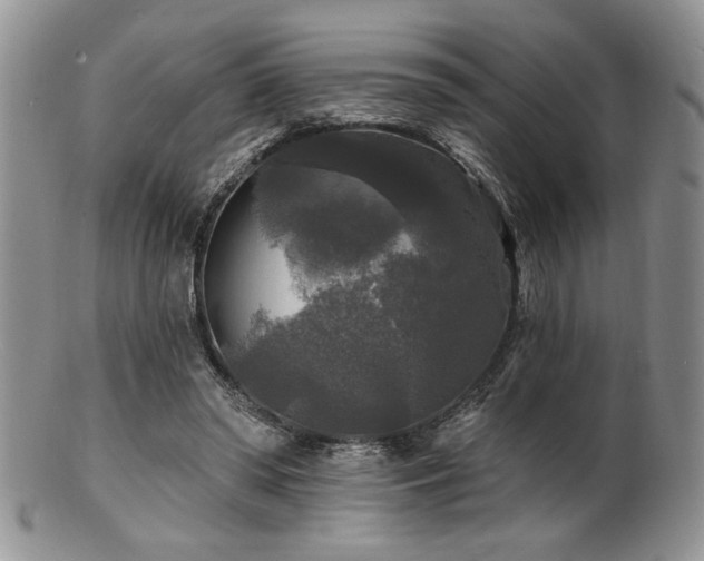 X0000100840398200806201156