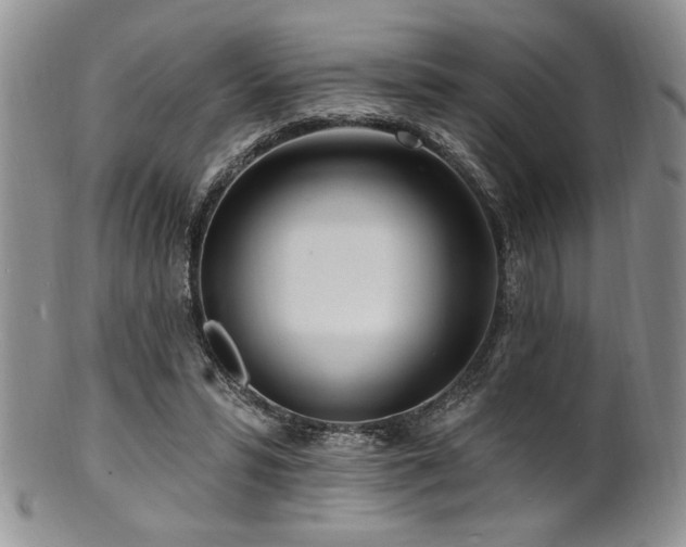 X0000100840399200806201156