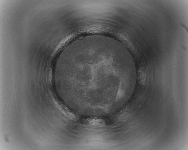 X0000100840400200806201156