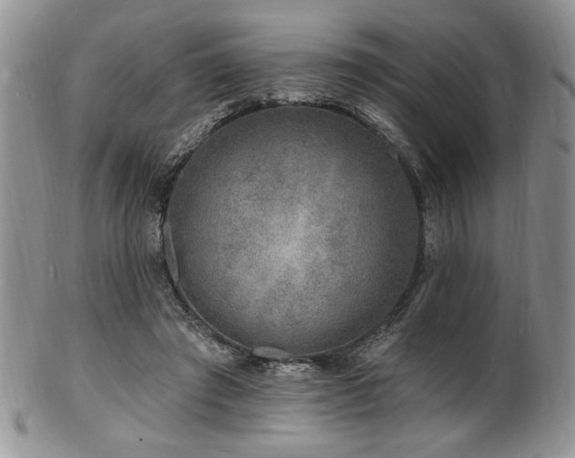 X0000100840401200806201156