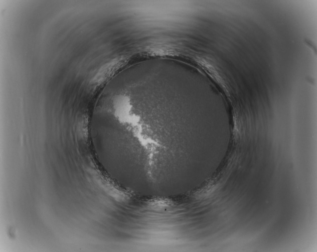 X0000100840402200806201156