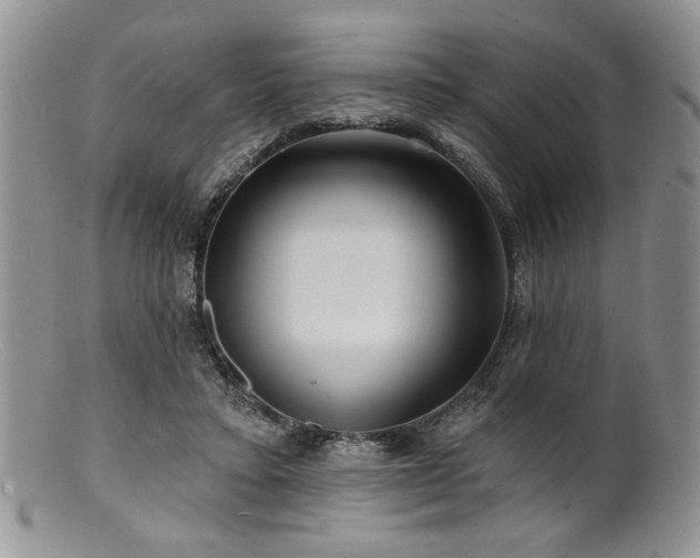 X0000100840403200806201155