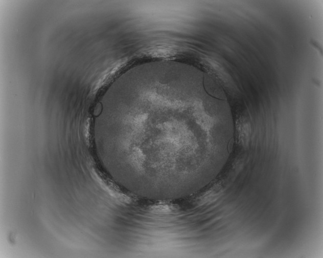 X0000100840404200806201155