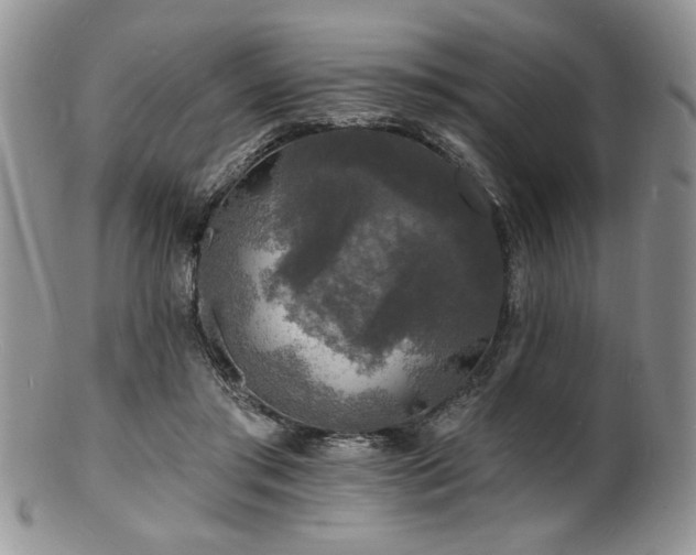 X0000100840405200806201155