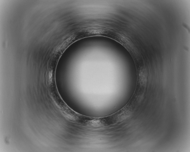 X0000100840406200806201155