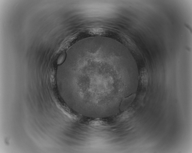 X0000100840408200806201155