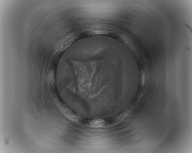 X0000100840410200806201155