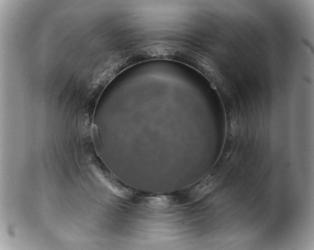 X0000100840411200806201155