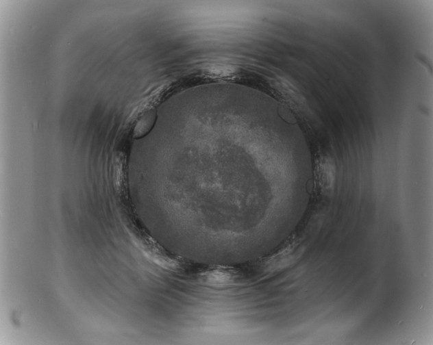 X0000100840412200806201155