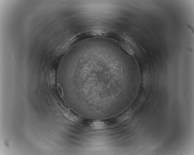 X0000100840413200806201155