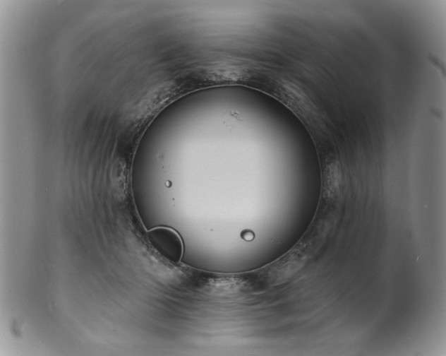 X0000100840414200806201155