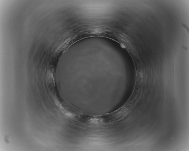 X0000100840415200806201155