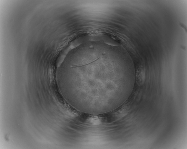 X0000100840416200806201155