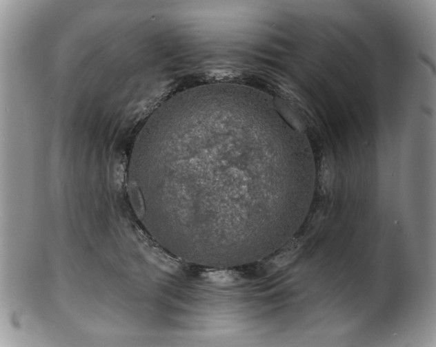 X0000100840417200806201155