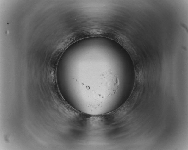 X0000100840418200806201155