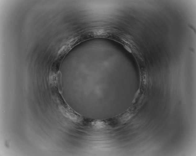 X0000100840419200806201155